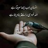 naziashar3
