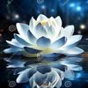 serenityllc9123