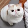 baby.me267