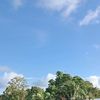 patrickpeter_09