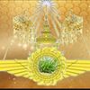 www.tiktok.compin_kiao2