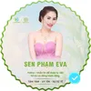 sen.phm.eva.2