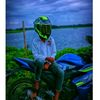 shuvo29890