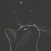 fallingstar.07