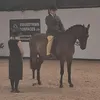 imogen_wilkinson1