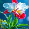 raka_3963