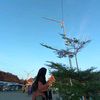 xxxn.rsm