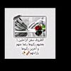 user8427254588435
