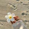 laprincesse_642