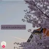 user8080314344248