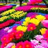 abdul.gafar0952