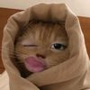 alstrmrgirl_
