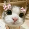 bianca.silveira38