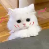 longbao003
