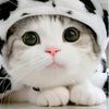 itsmy.tiara_
