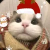 julzishungryfrrr