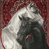 mansa_xoshnaw