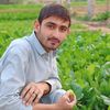 satar.khan929