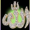 user0981073321