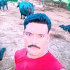balli.714