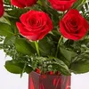 agaship3