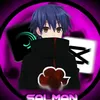 hollo509
