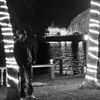 no_solo.un_dieguito_mas7