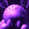 random_pers0n2763