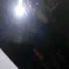1moon28