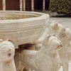 .lapilar