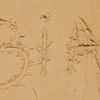 bia_dhem
