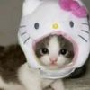 yuki_2007s1