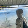 mhmdlubis1