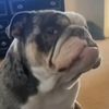 whyioutta_