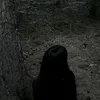 kitty30276