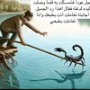 jfdhg80