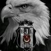 bjk_1903.mame