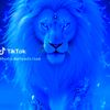 taliye799