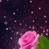 user5444821313617