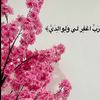 sosoo.alzahrani8