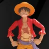 luffy_stop_motion