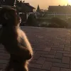 nego0fz