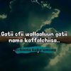 shariif.mahammad6