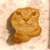 nuggetcat66