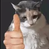 miabide5