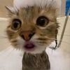 takisisthebest172