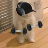 nugget_power