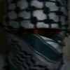 anas.6487