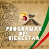 programas del bienestar