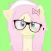 shayn0401